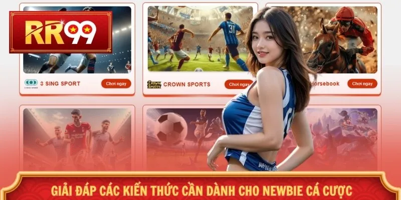 Giải đáp các kiến thức cần dành cho newbie cá cược